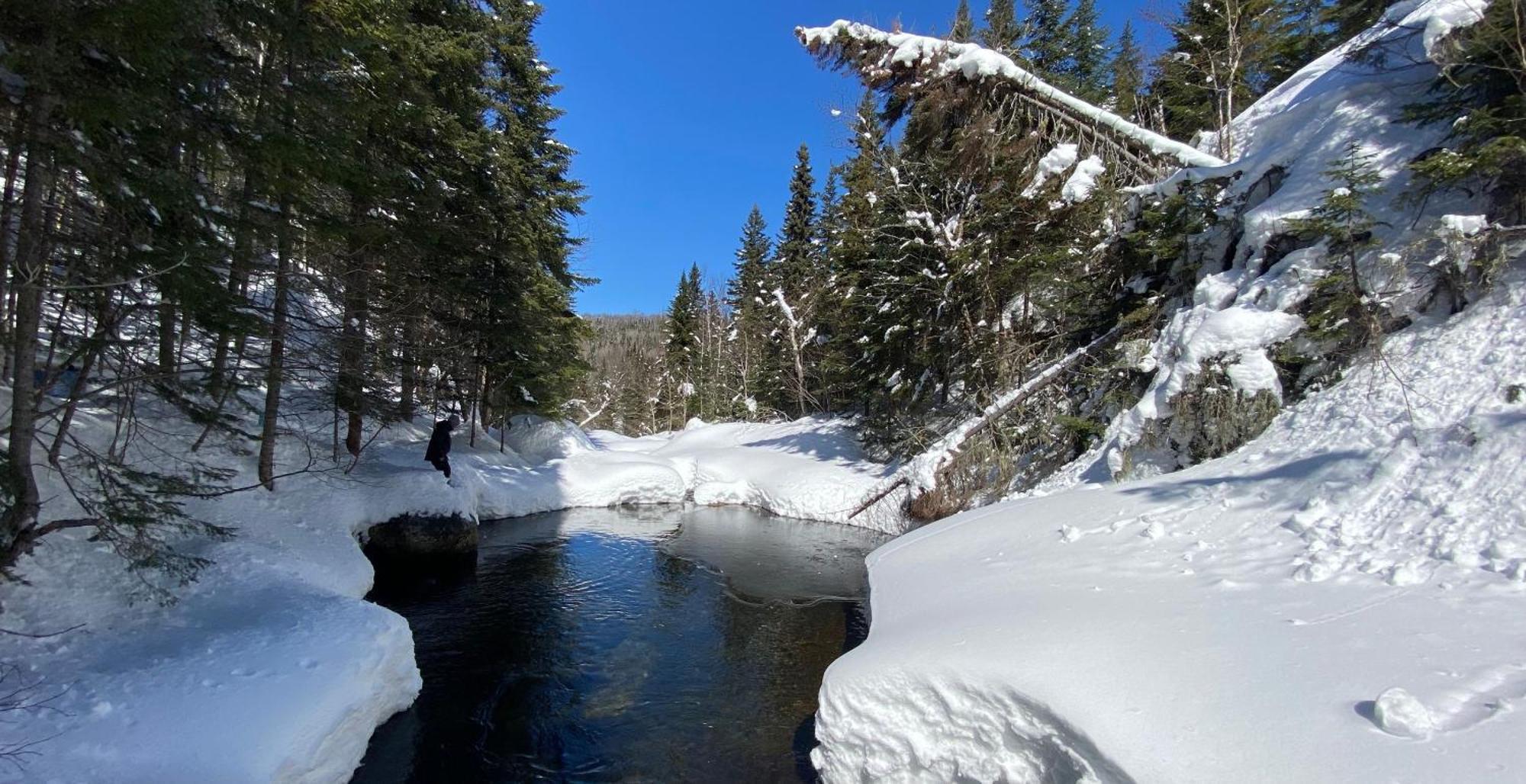 Momentom Refuges Nature * Petite-Riviere-Saint-Francois