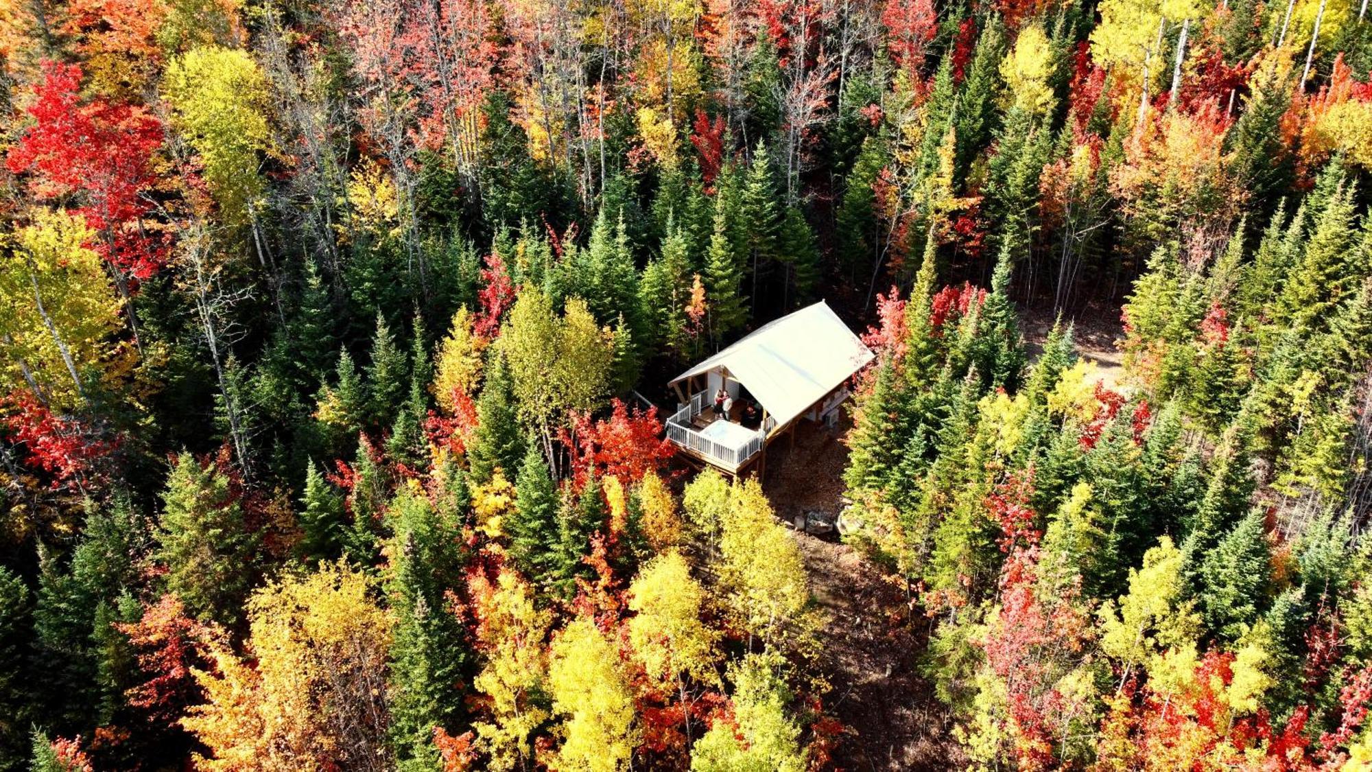 Momentom Refuges Nature